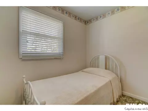 2008 E Black Ave, Springfield, IL 62702 photo 20