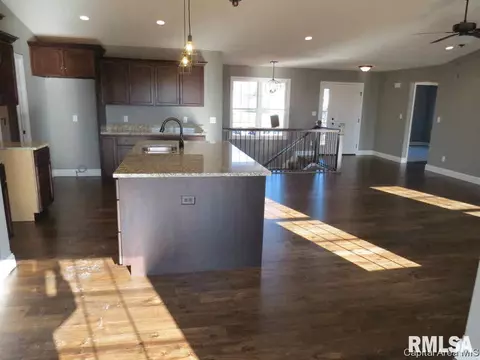 814 Kellan Dr, Chatham, IL 62629 photo 9