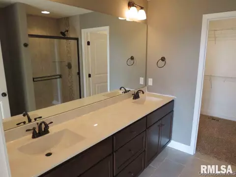 814 Kellan Dr, Chatham, IL 62629 photo 11