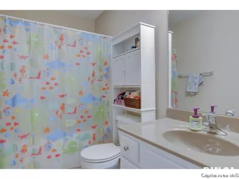 2929 Andy Rd, Springfield, IL 62702 photo 25