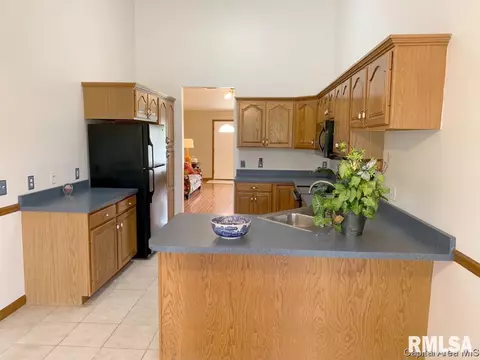 2702 Kitty Hawk, Springfield, IL 62711 photo 16