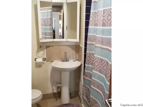 820 S Walnut, Springfield, IL 62704 photo 14