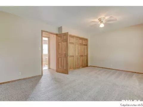 700 E Dove, Athens, IL 62613 photo 17