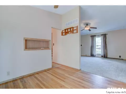 700 E Dove, Athens, IL 62613 photo 13