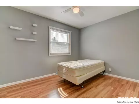 700 E Dove, Athens, IL 62613 photo 14