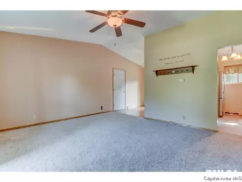 700 E Dove, Athens, IL 62613 photo 11