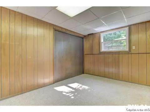 700 E Dove, Athens, IL 62613 photo 24
