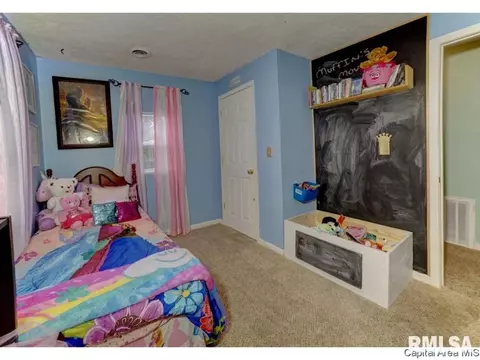 3101 Carman Ave, Springfield, IL 62703 photo 16