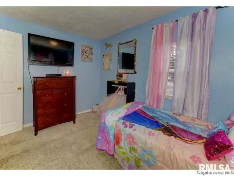 3101 Carman Ave, Springfield, IL 62703 photo 15