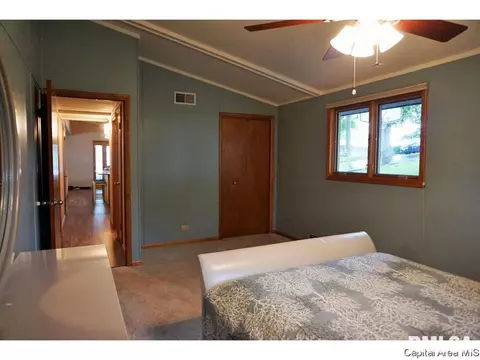 39 Vine Ln, Avon, IL 61415 photo 17