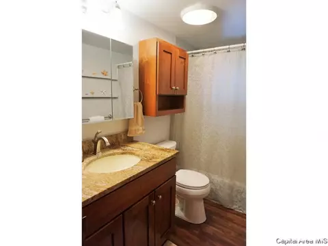 39 Vine Ln, Avon, IL 61415 photo 20