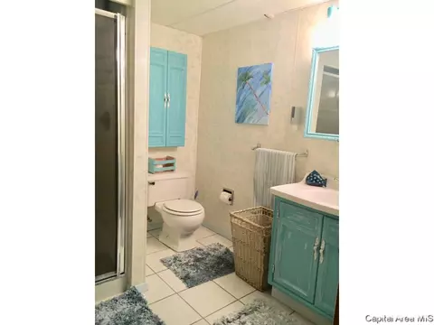 144 Archer Ave, Springfield, IL 62704 photo 16