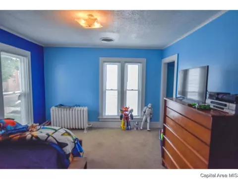 1229 3rd, Springfield, IL 62702 photo 23