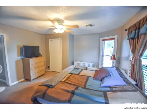 1229 3rd, Springfield, IL 62702 photo 22