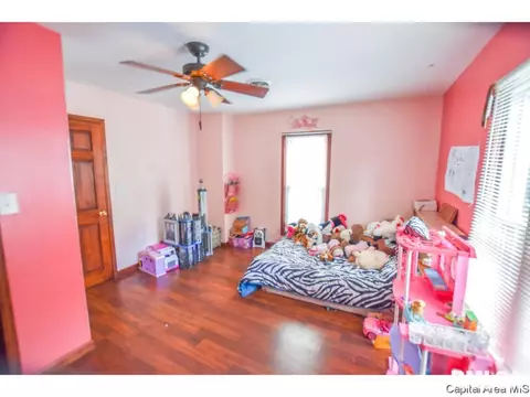 1229 3rd, Springfield, IL 62702 photo 26
