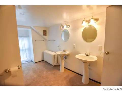1229 3rd, Springfield, IL 62702 photo 28