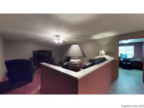 6844 Ninebark Dr, Springfield, IL 62712 photo 22