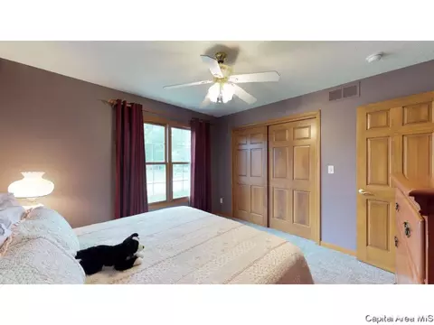 6844 Ninebark Dr, Springfield, IL 62712 photo 18