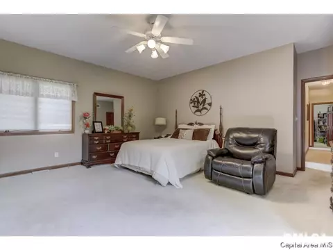 3916 Surry Place Ln, Springfield, IL 62711 photo 11