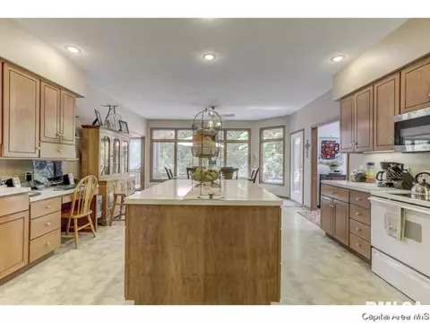 3916 Surry Place Ln, Springfield, IL 62711 photo 8