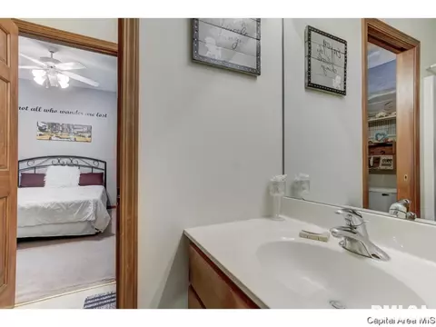 3916 Surry Place Ln, Springfield, IL 62711 photo 20