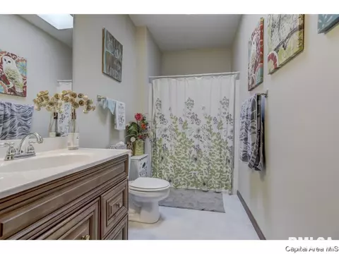 3916 Surry Place Ln, Springfield, IL 62711 photo 23