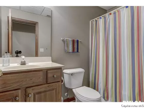 3916 Surry Place Ln, Springfield, IL 62711 photo 24