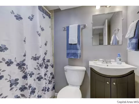 11 Providence Ln, Springfield, IL 62711 photo 30
