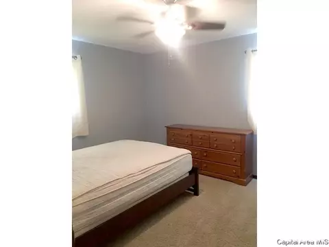 1725 Watch Ave, Springfield, IL 62702 photo 15