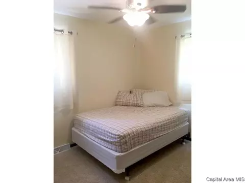 1725 Watch Ave, Springfield, IL 62702 photo 17