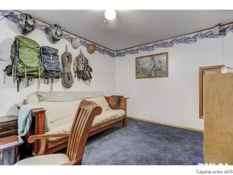 1114 Krell Dr, Springfield, IL 62711 photo 19