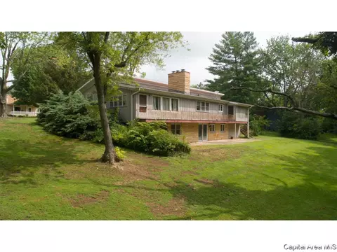 1114 Krell Dr, Springfield, IL 62711 photo 30