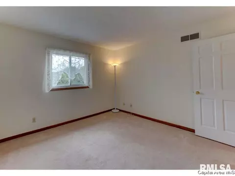345 S Durkin Dr, Springfield, IL 62704 photo 11