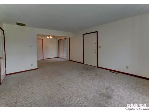 345 S Durkin Dr, Springfield, IL 62704 photo 26