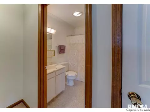 345 S Durkin Dr, Springfield, IL 62704 photo 12
