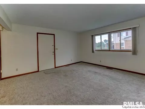 345 S Durkin Dr, Springfield, IL 62704 photo 27