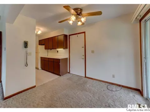 345 S Durkin Dr, Springfield, IL 62704 photo 16
