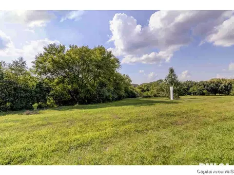 8901 Gordon Dr, Chatham, IL 62629 photo 2
