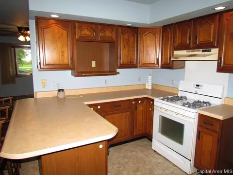 404 Carson St, Loami, IL 62661 photo 7