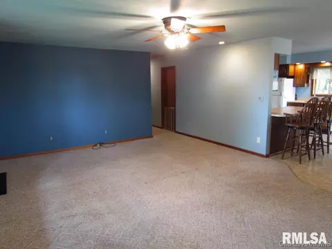 404 Carson St, Loami, IL 62661 photo 2