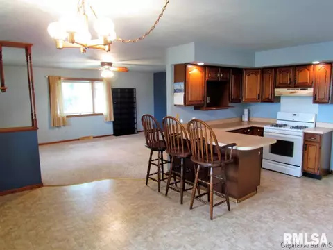 404 Carson St, Loami, IL 62661 photo 4