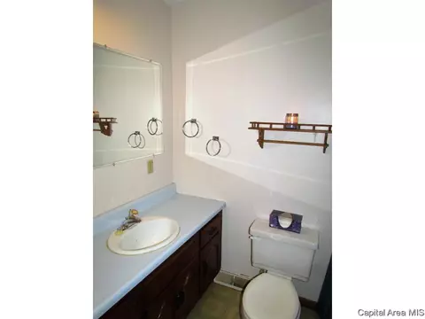 404 Carson St, Loami, IL 62661 photo 15