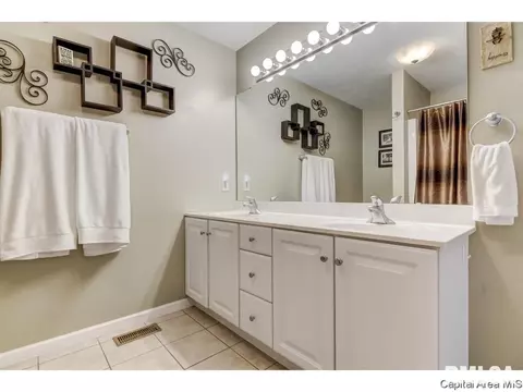 2921 Cronin, Springfield, IL 62711 photo 18