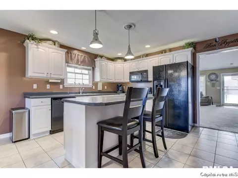 2921 Cronin, Springfield, IL 62711 photo 9