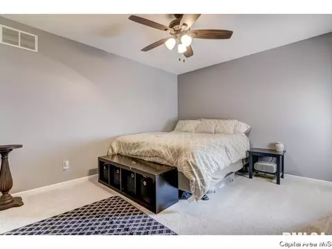 2921 Cronin, Springfield, IL 62711 photo 21