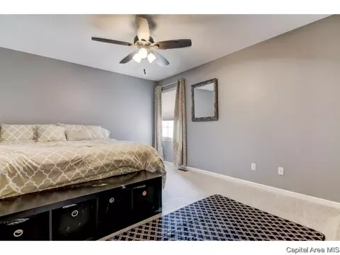 2921 Cronin, Springfield, IL 62711 photo 22