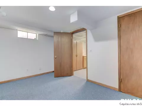 3413 Saint Francis Dr, Springfield, IL 62703 photo 27