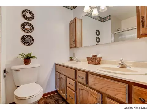 3413 Saint Francis Dr, Springfield, IL 62703 photo 21