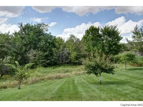 5417 Gentry Rdg, Springfield, IL 62711 photo 35
