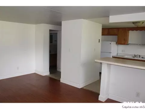 305 Bruns Ln, Springfield, IL 62704 photo 12